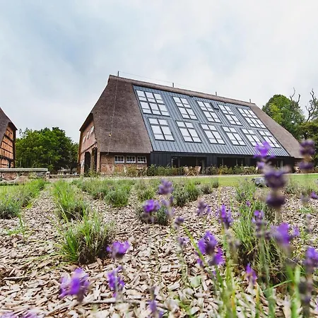 Gut Ferien Lofts Aparthotel Damp