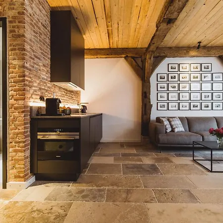 公寓式酒店 Gut Ferien Lofts 4*