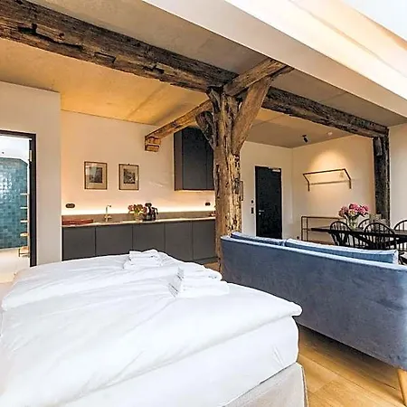 Gut Ferien Lofts 4* Damp