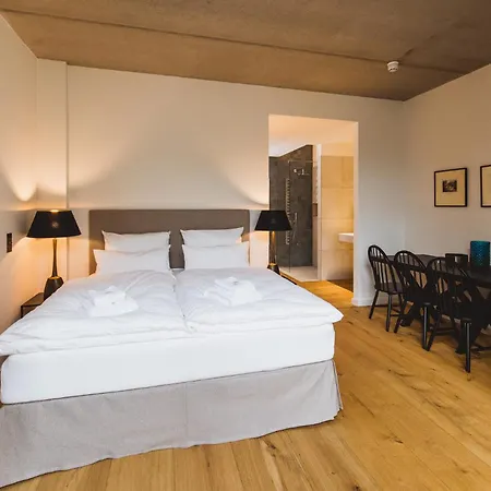 Gut Ferien Lofts 4* 达普