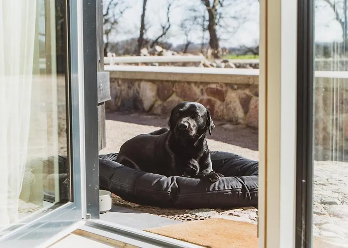 Gut Ferien Lofts Lägenhetshotell